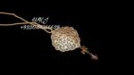 Locket Set